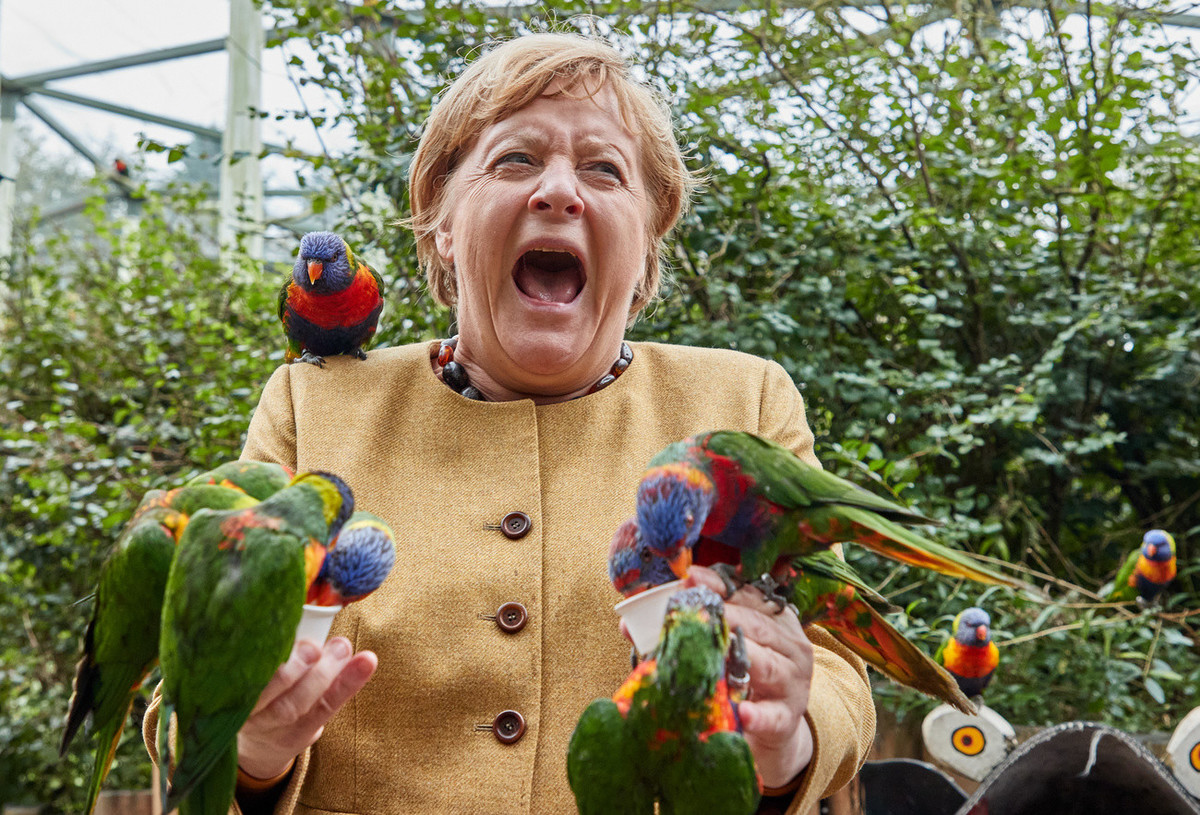 Merkel, Papagei