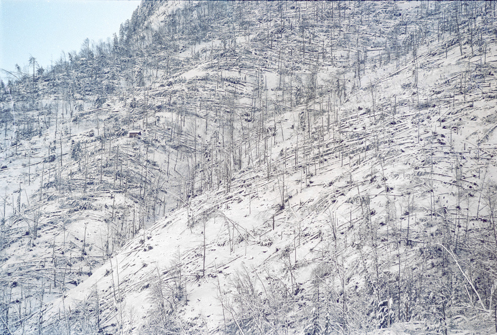 Das Orkantief fordert in der Schweiz 14 Tote. 15 Millionen Bäume werden umgerissen. Die Gesamtschäden belaufen sich auf 1,35 Milliarden Franken. Auf dem Säntis werden Werte von 230 Kilometern pro Stunde gemessen worden, auf La Dôle im Waadtländer Jura sind es 201 km/h. Lothar trifft hauptsächlich die Voralpen, das Mittelland und den Jura. Im Bild: Sturmschäden in Grafenort im Kanton Obwalden, aufgenommen am 29. Dezember 1999. (Foto: Keystone/Str)