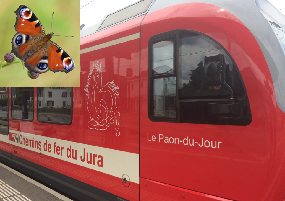 Das "Tagpfauenauge", moderner Triebwagen des Chemins de fer du Jura in Glovelier