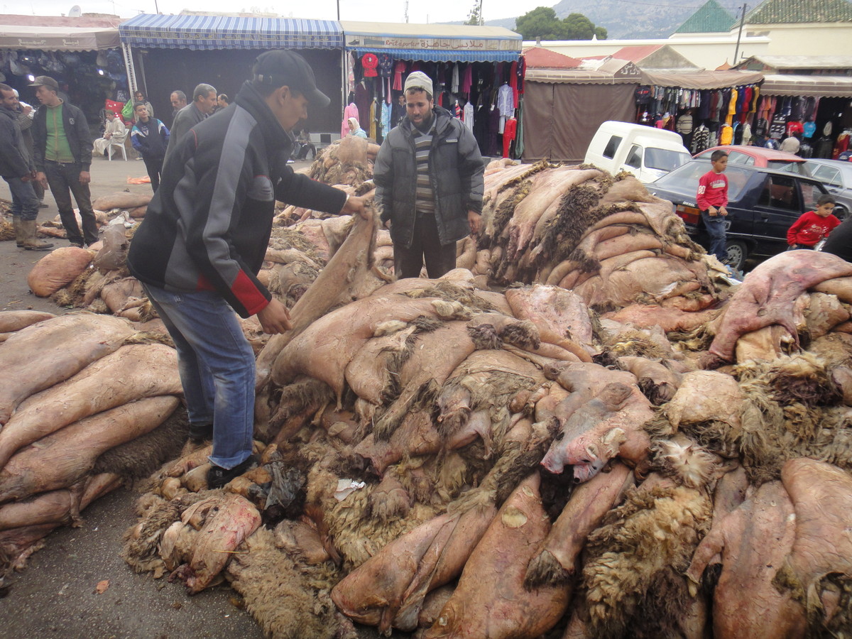 Schaffelle auf einem Markt in der marokkanischen Stadt Fès (Fotos: hh)