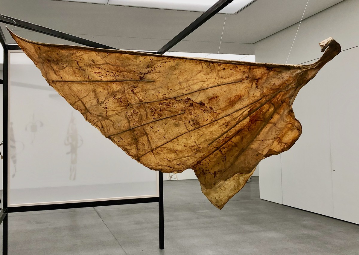 Flügel, 1980; Bambus, Draht, Stoff und Latex, ca. 220 x 270 cm; Bündner Kunstmuseum Chur; Foto: J21