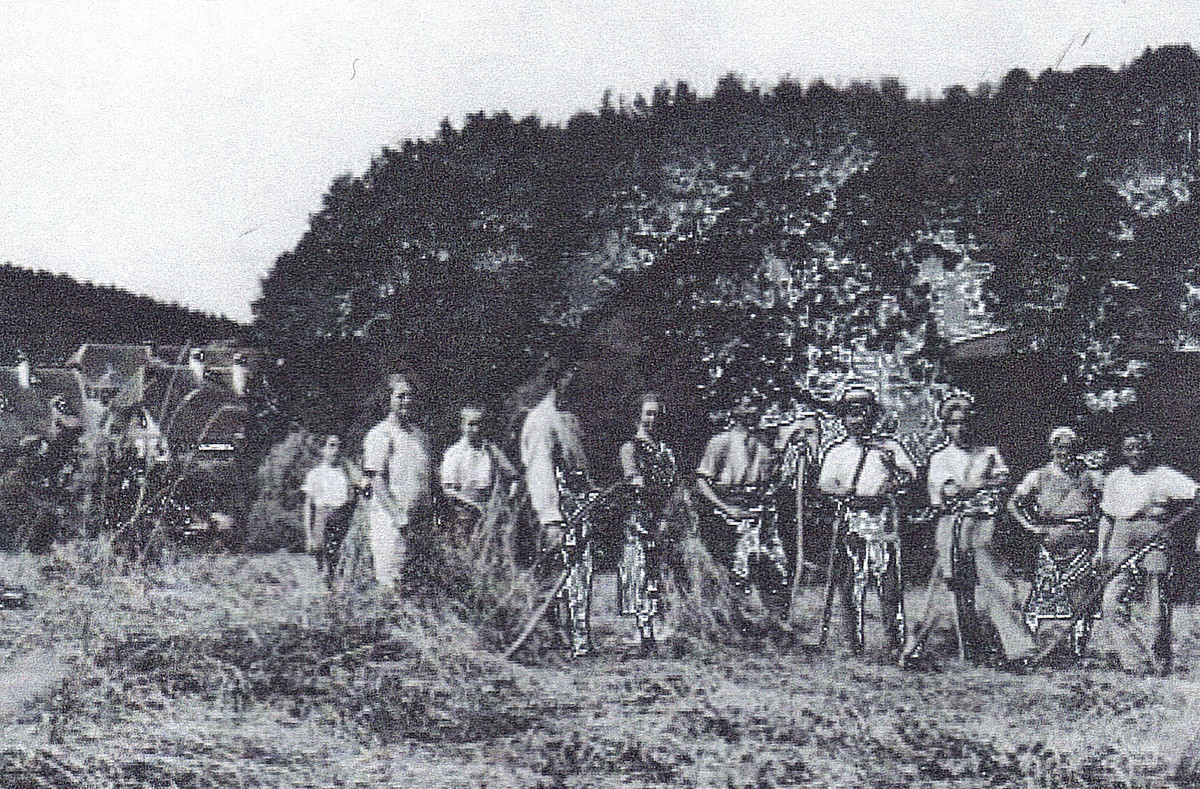 Familie Baumgartner 1932 bei der Ernte. Ihre Nachfahren zeigen am 4. Juni 2011 wie man früher das Getreide erntete und drosch.