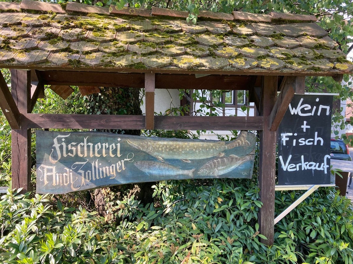 Andi Zollinger, Riedikon, Berufsfischer am Greifensee