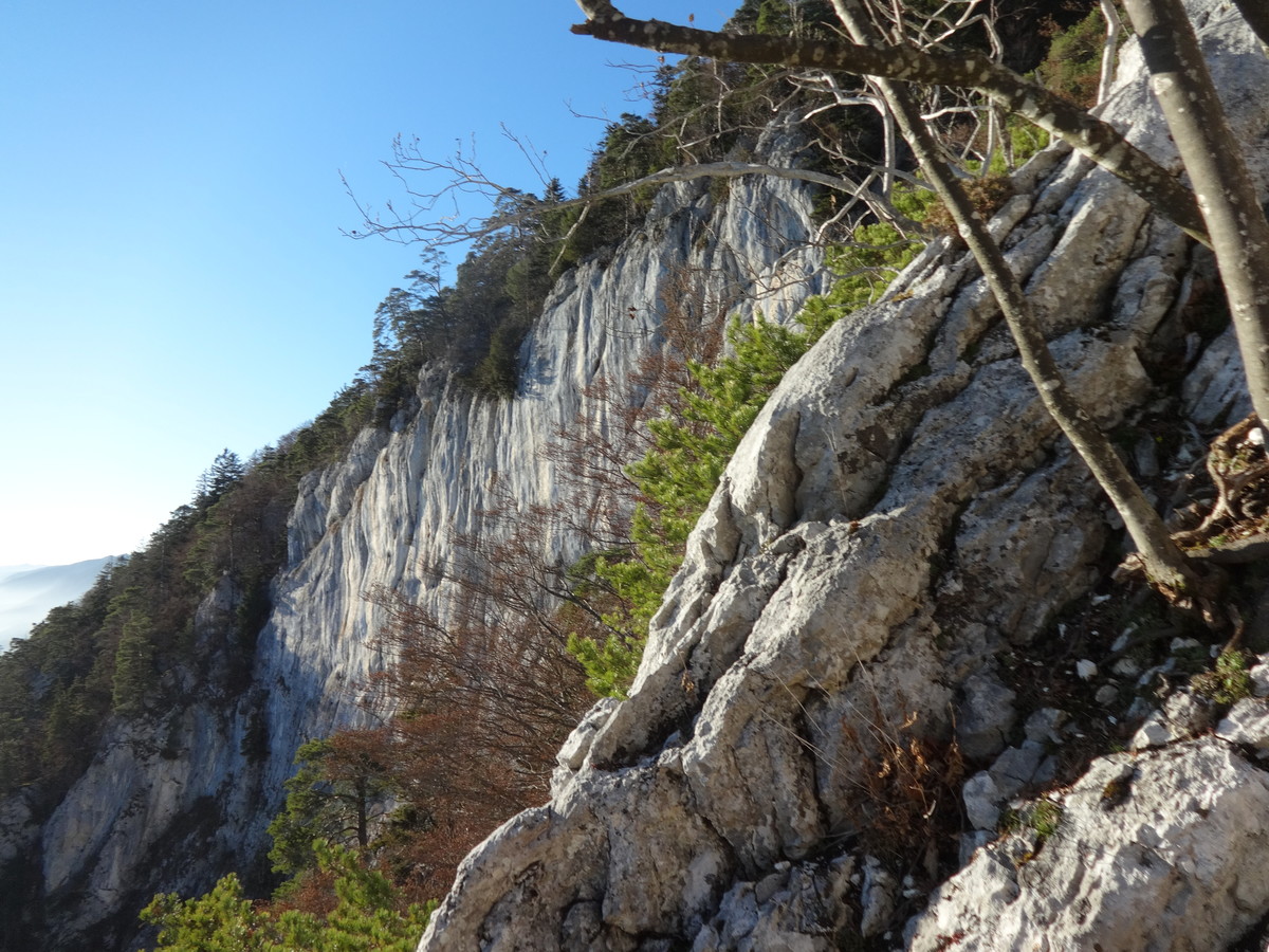 Felsbänder und Wald, die Kennzeichen der Juralandschaft (Foto: Helmut Scheben)