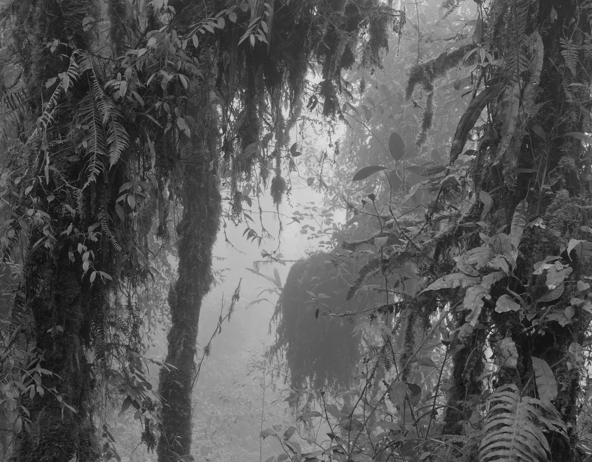 Guido Baselgia, Tierra templada № 1, 2018, © Guido Baselgia