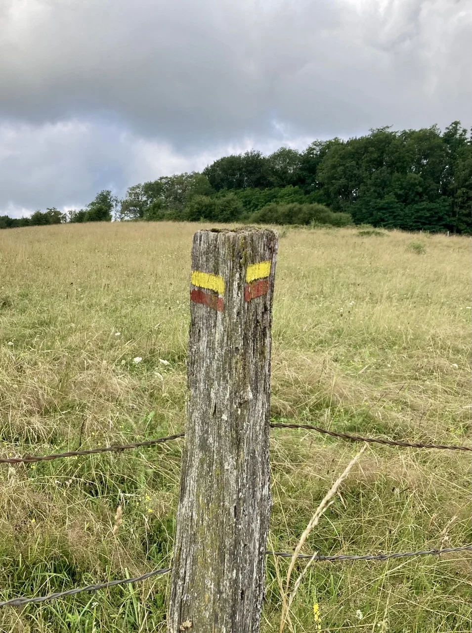 Wegmarkierung bei Saint-Lamain 