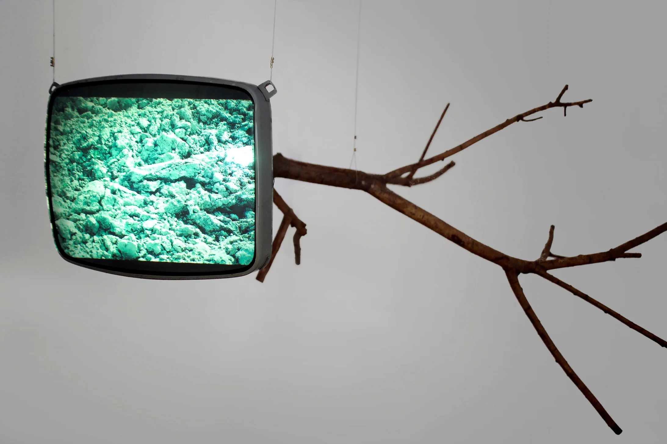 Ueli Berger: Nature Morte