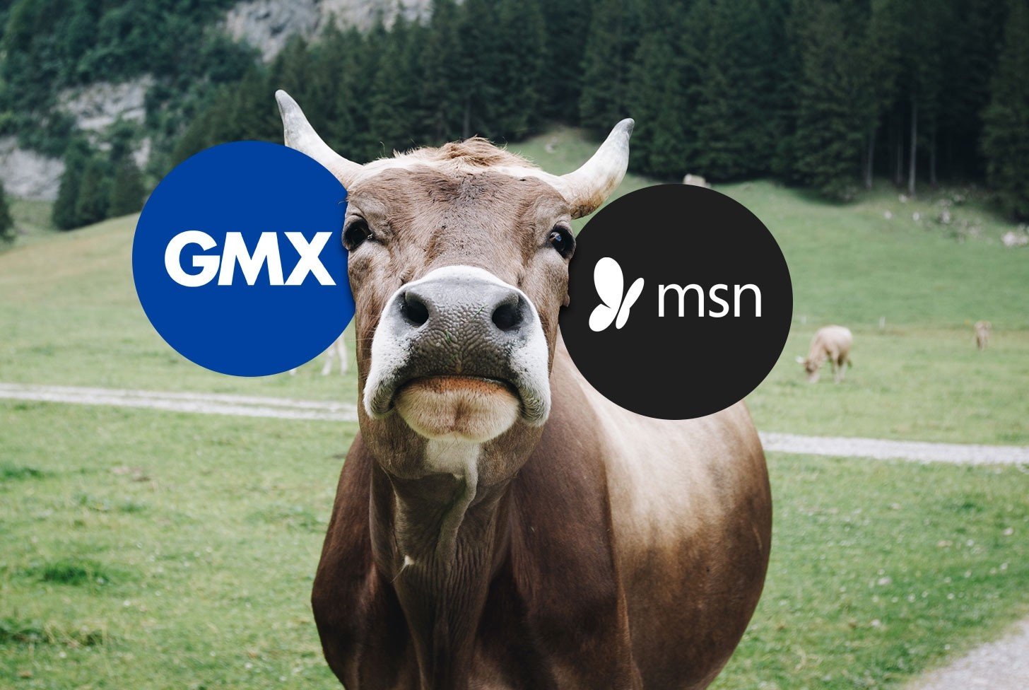 GMX-MSN