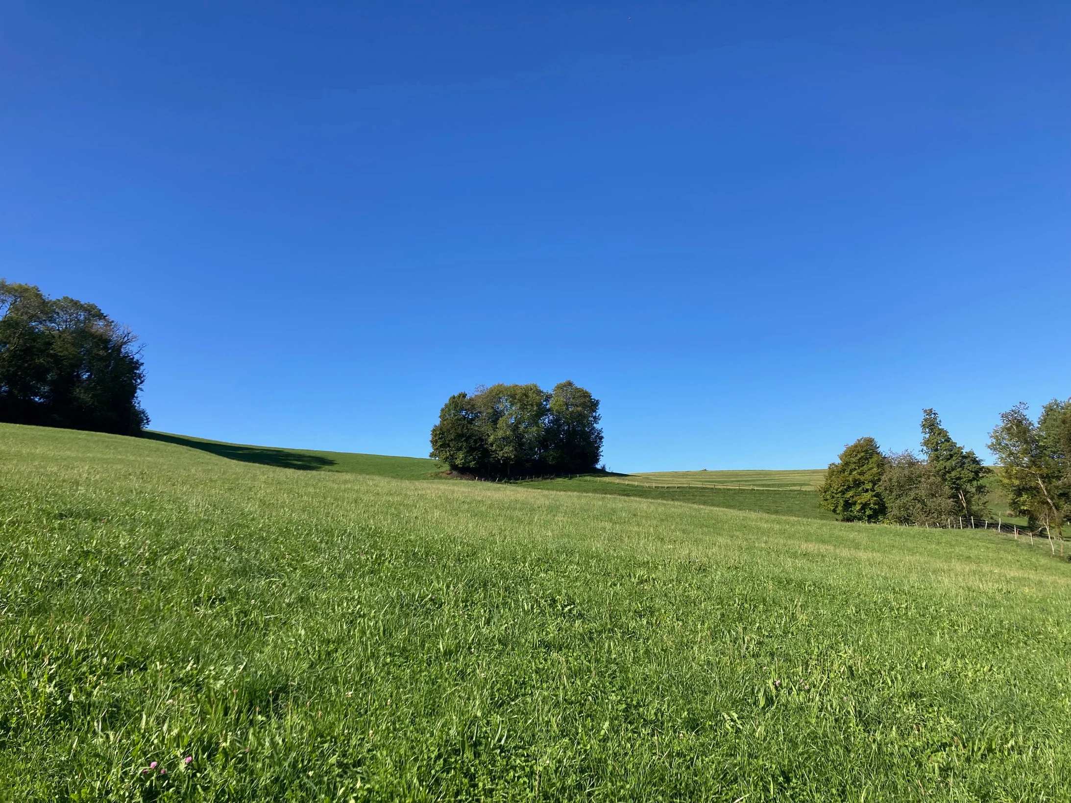 Juralandschaft bei Saint-Ursanne