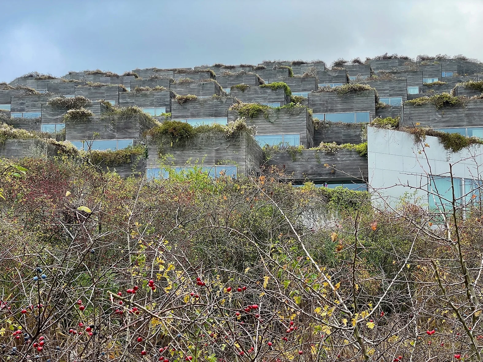 Wohnkomplex «The Mountain»