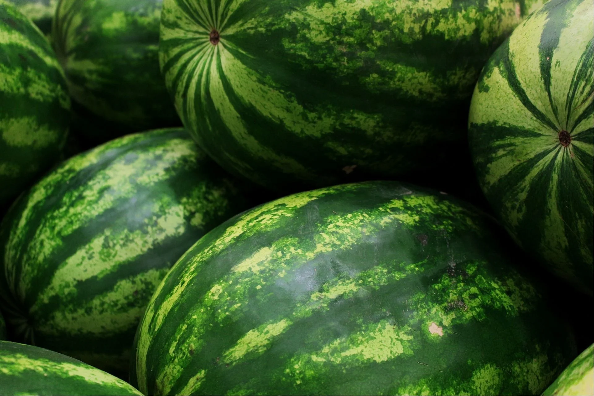 Wassermelonen