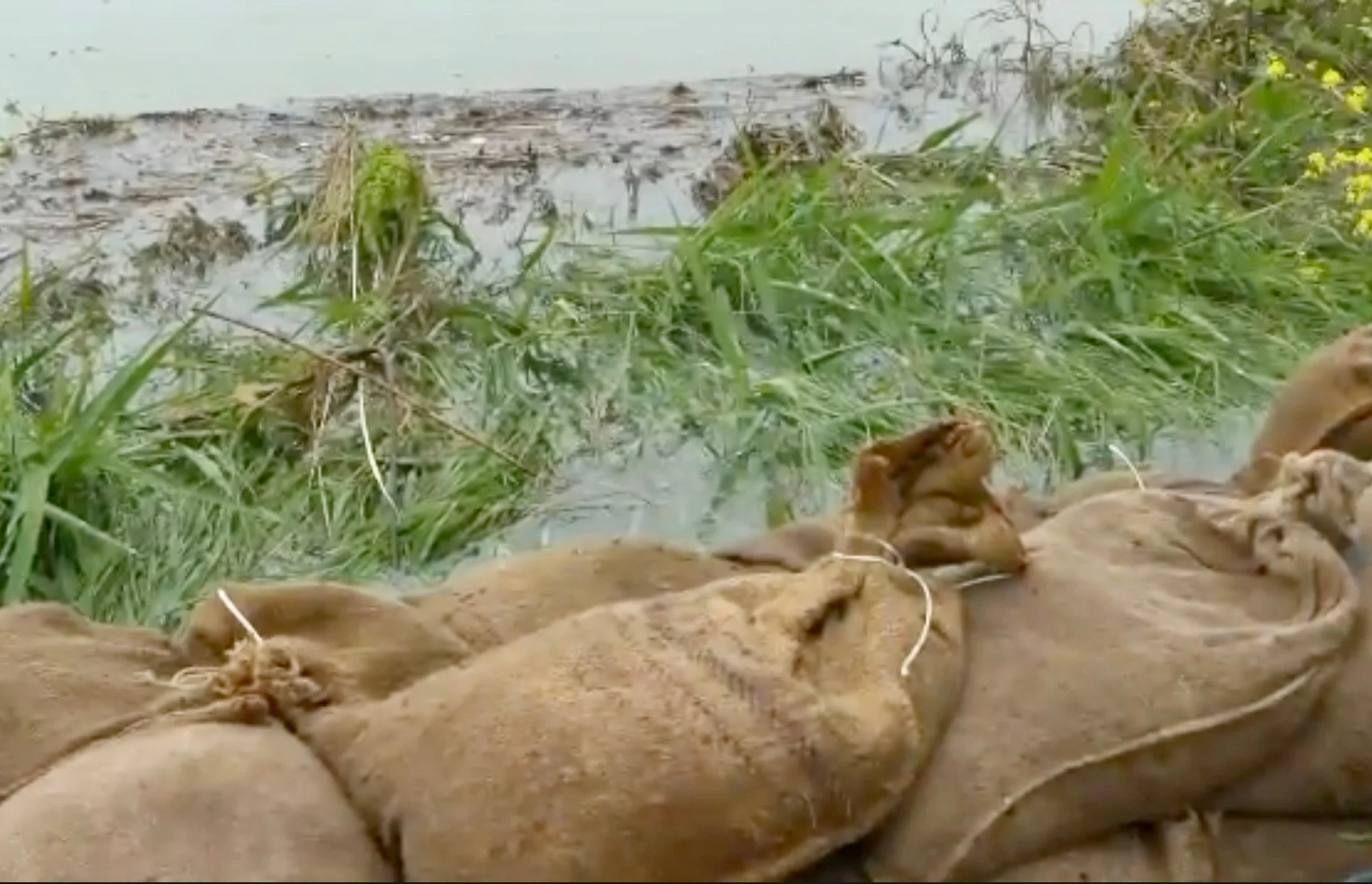 Sandsäcke gegen die Flut