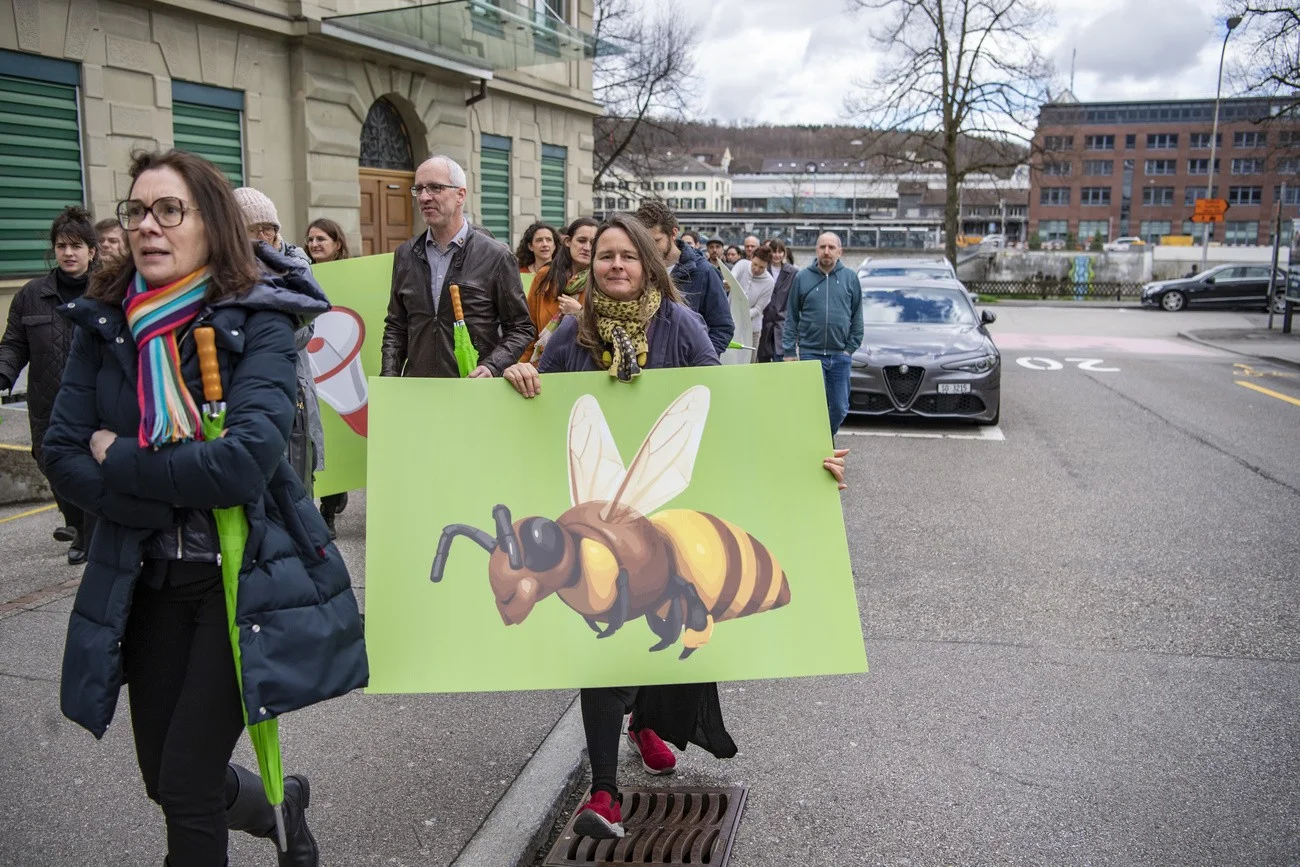 Grüne, Parteiversammlung