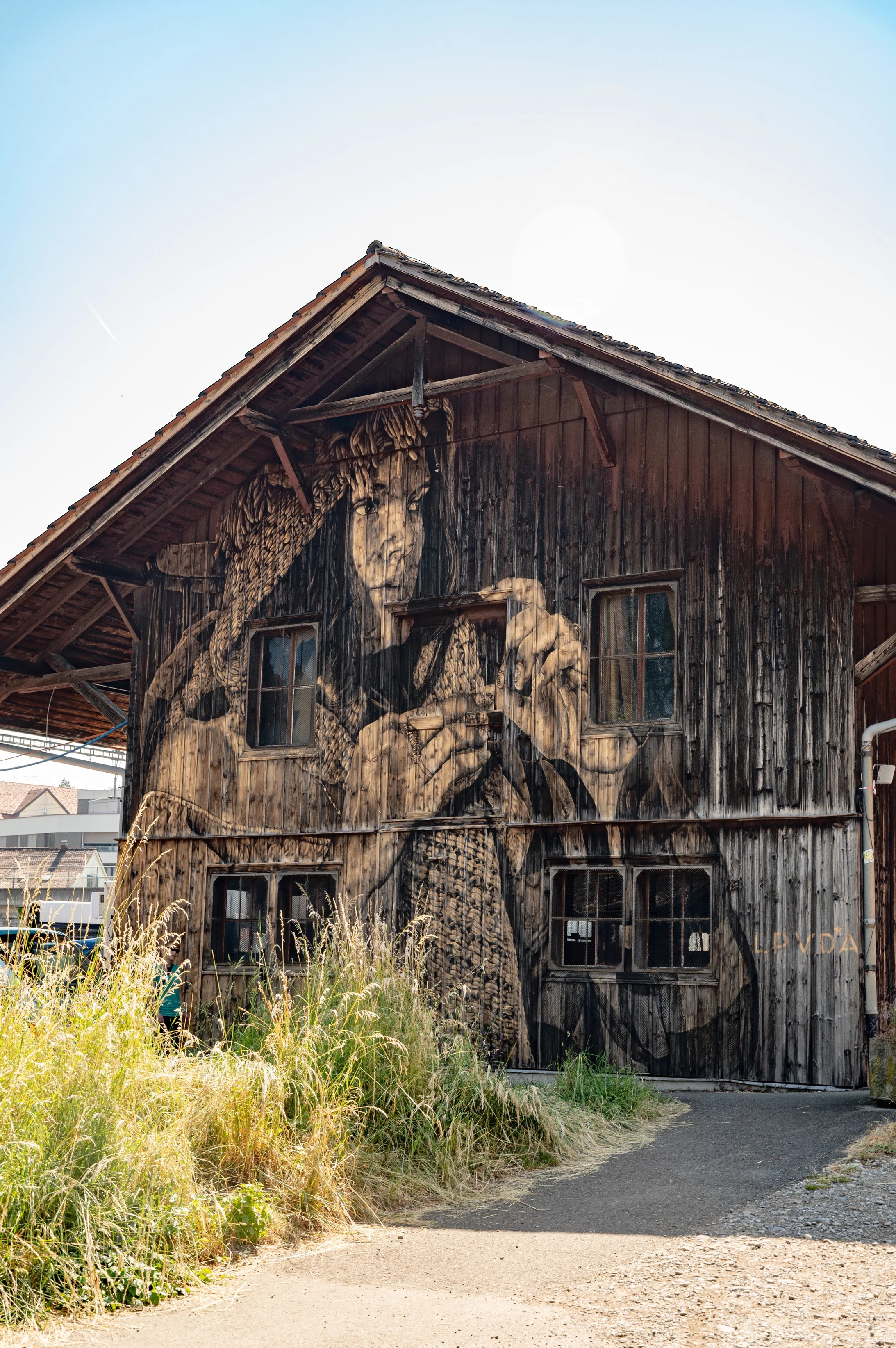 Streetart Festival, LPVDA