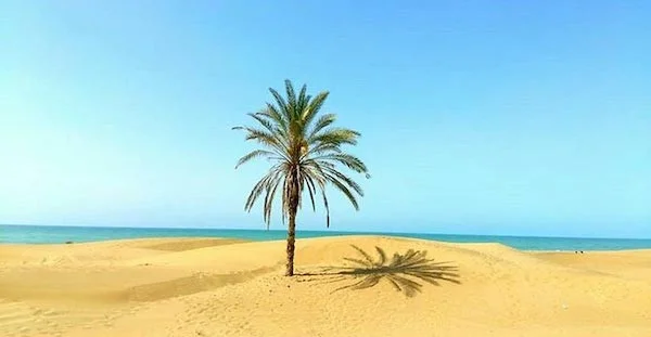 Erneuerbare Energien