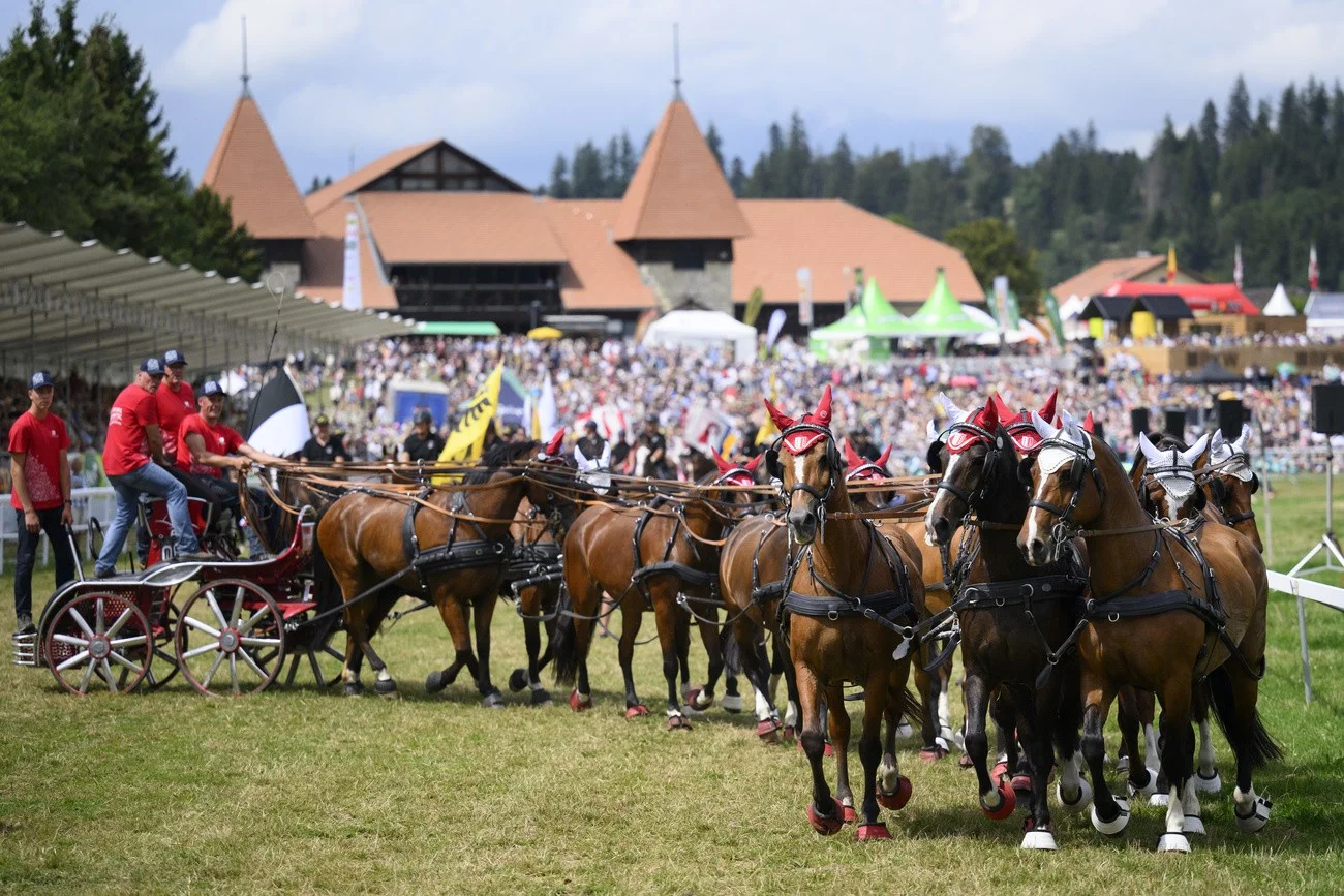 Pferdefest, Saignelégier