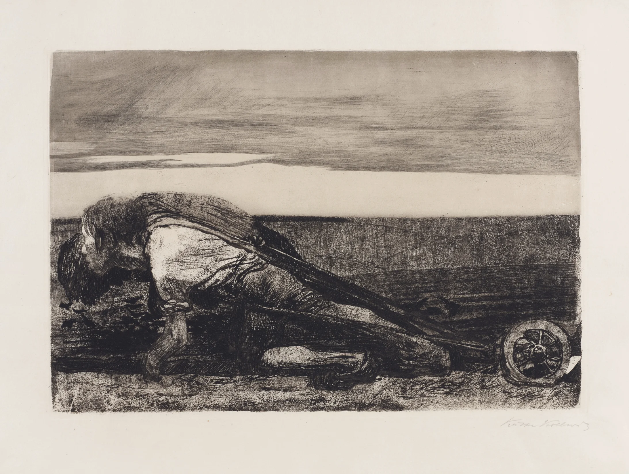 Käthe Kollwitz, Die Pflüger