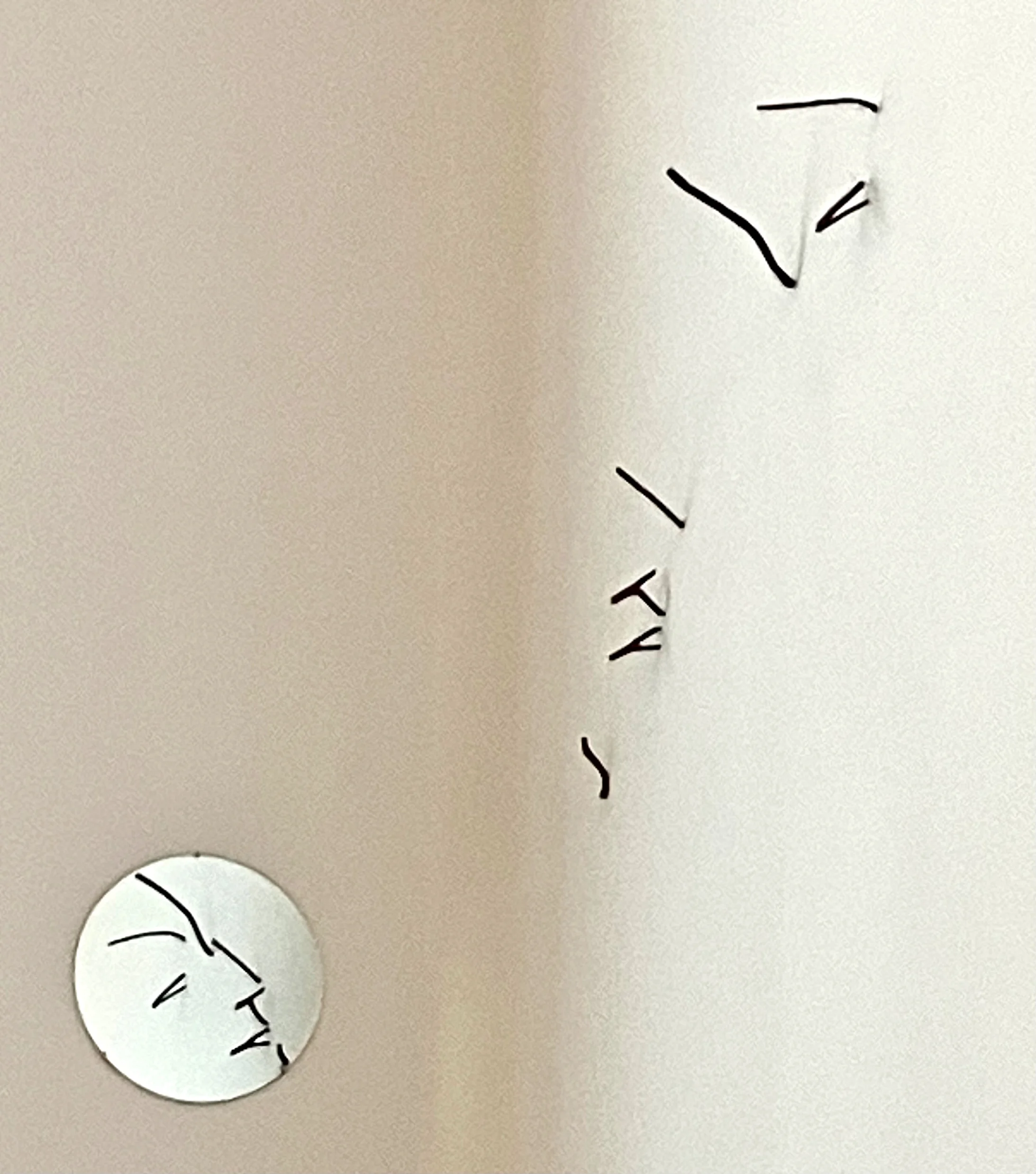 Markus Raetz: «Reflektion»