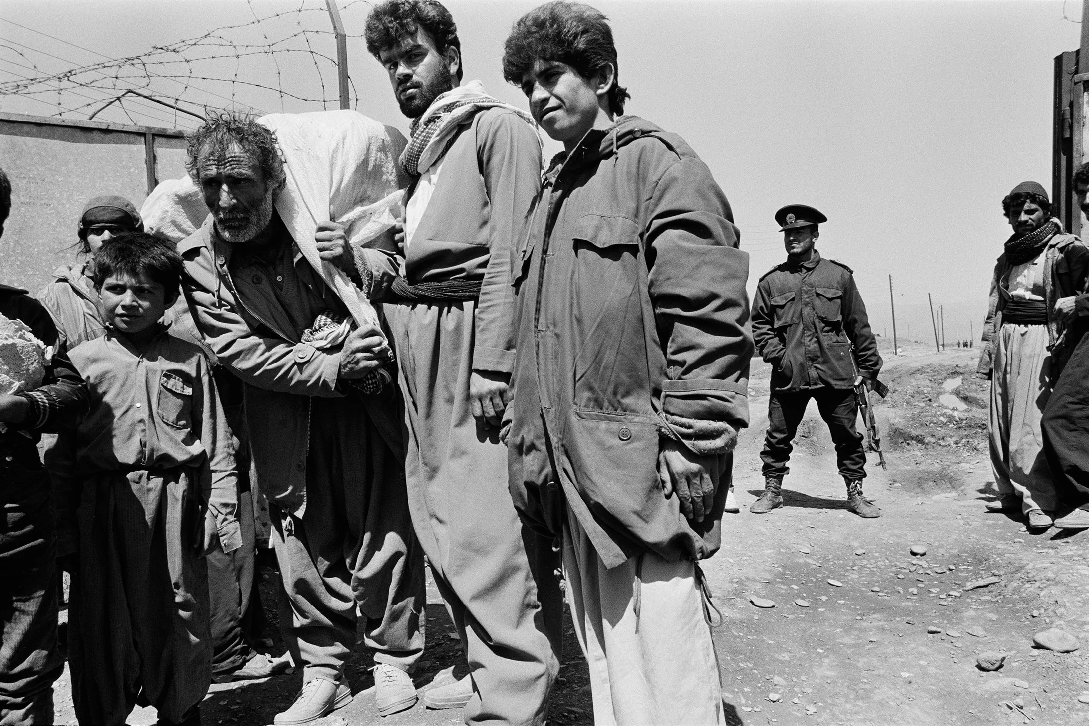 Schwartz,  gewöhnlicher Tag