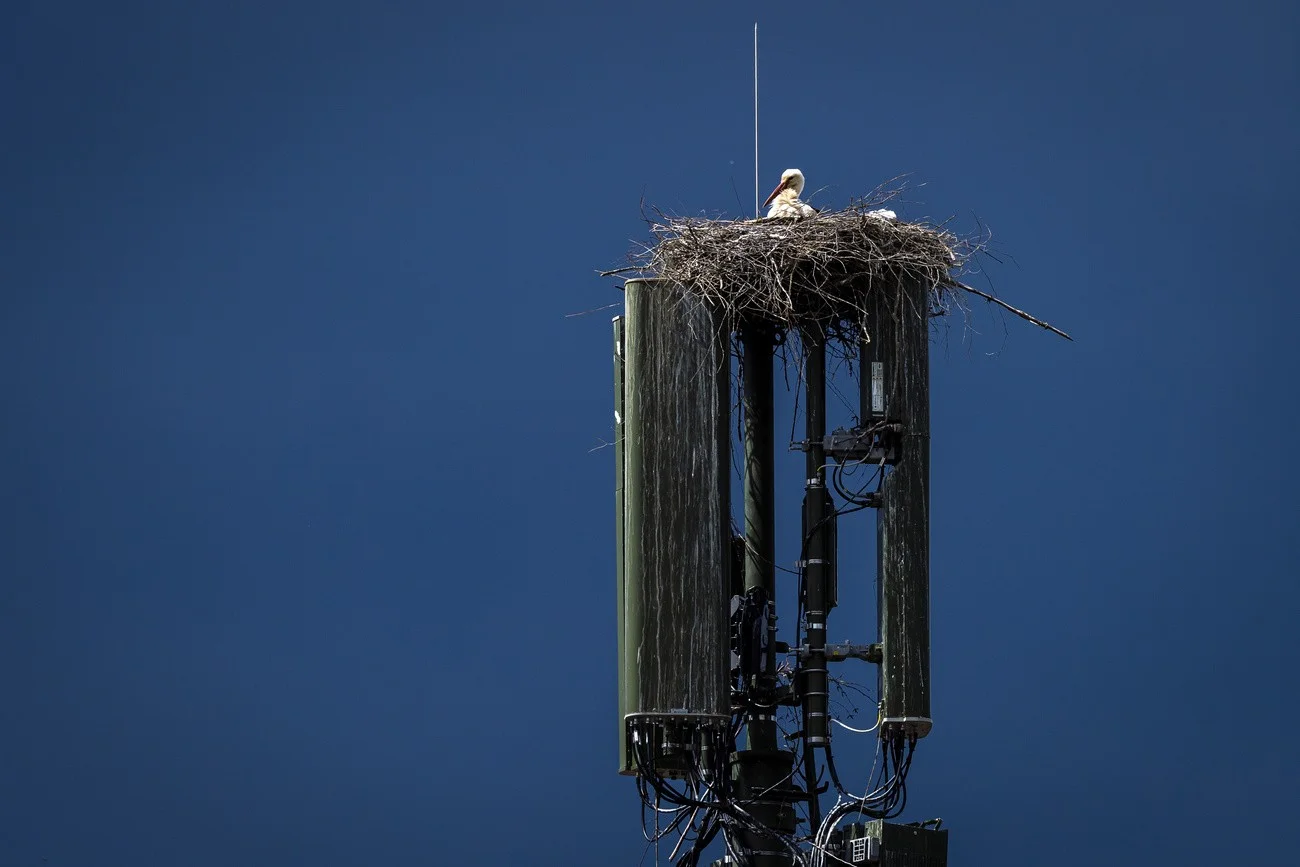 Storch, Mobilfunk
