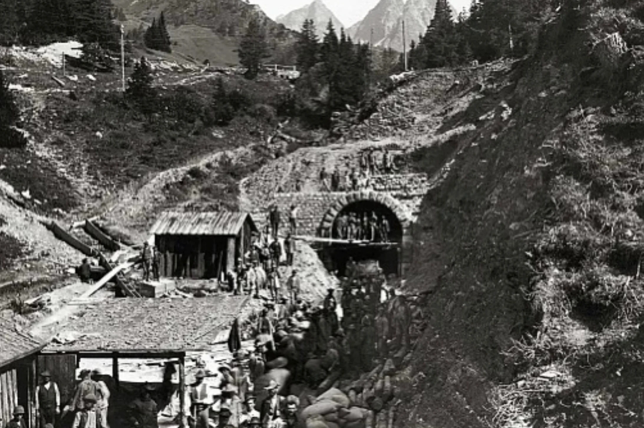 Albula