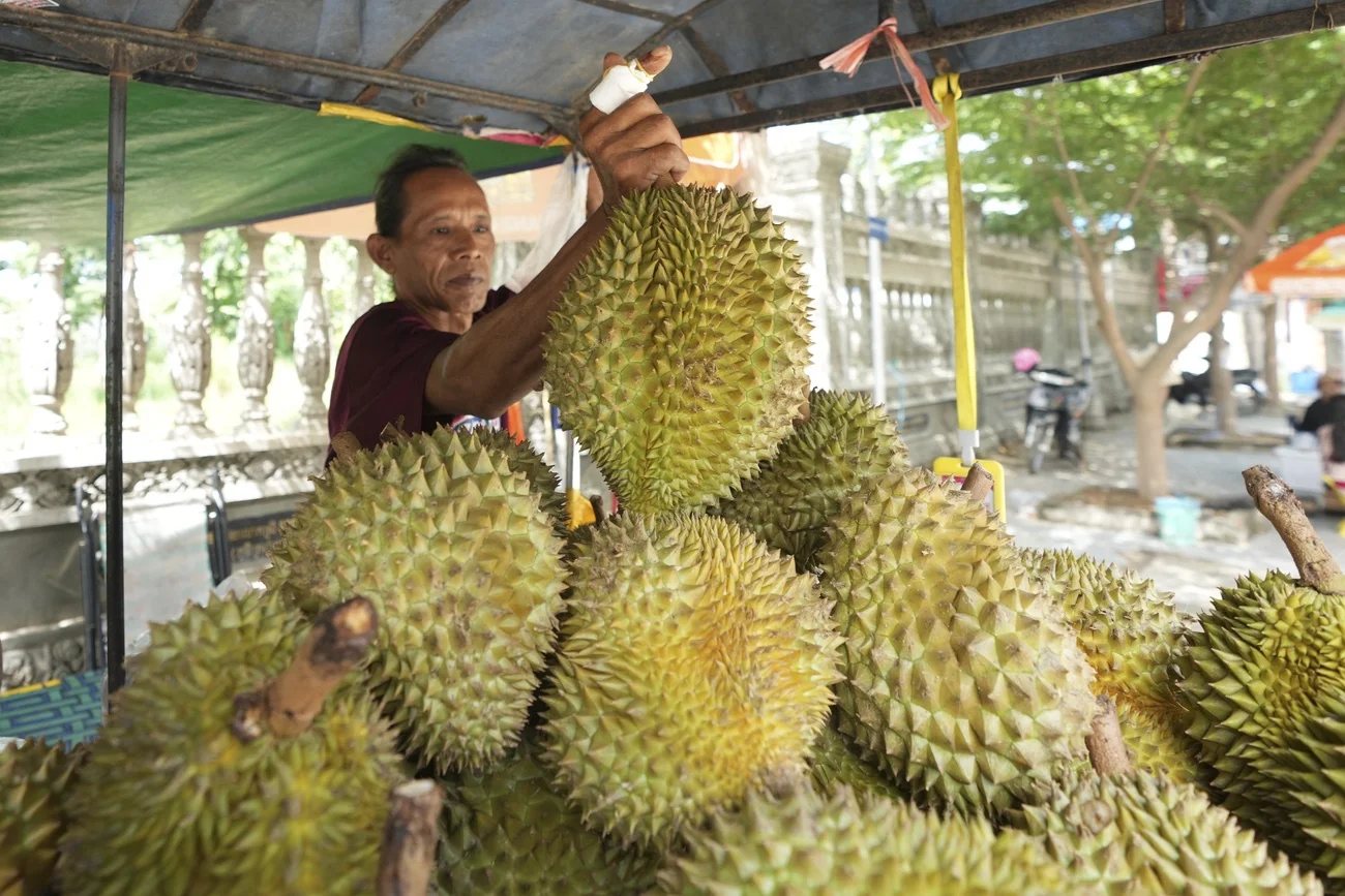 Durian-Frucht