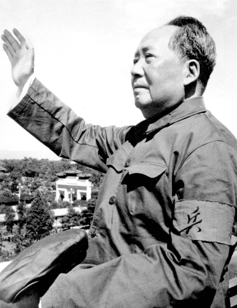 Mao
