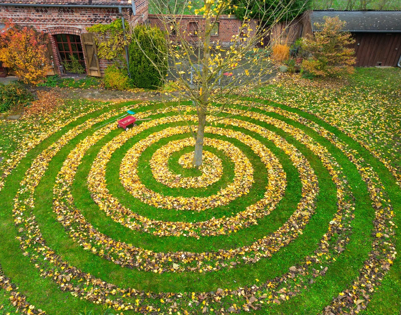 Laubrechen, Brandenburg