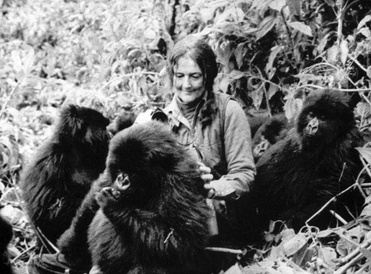 Diana Fossey