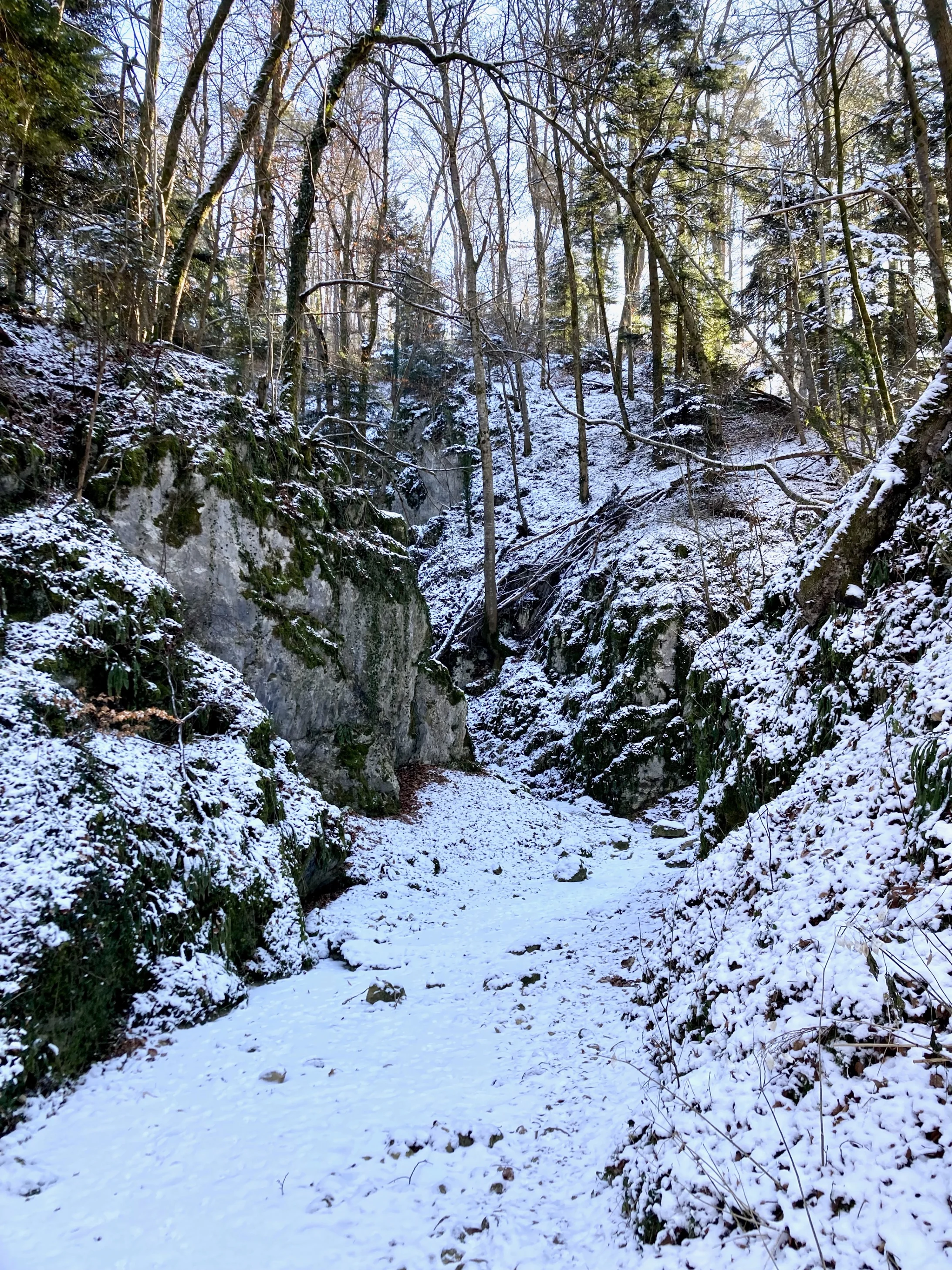 Zwischen Biederthal und Burg