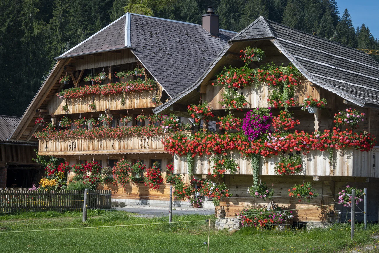 Emmental
