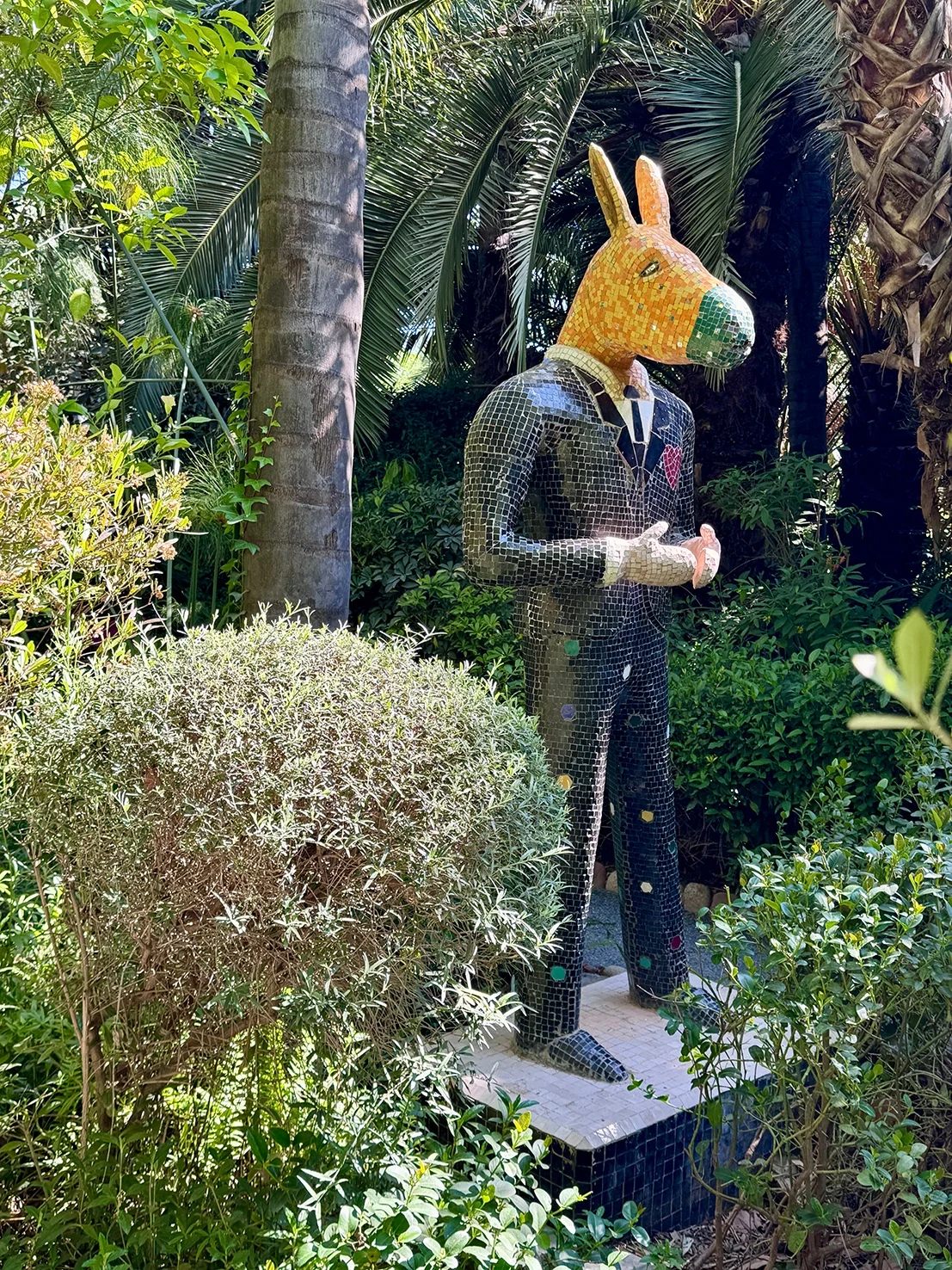 Anima