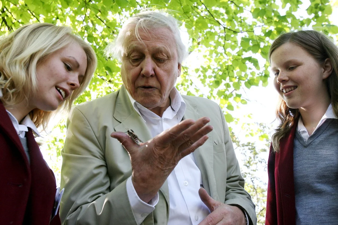 Attenborough