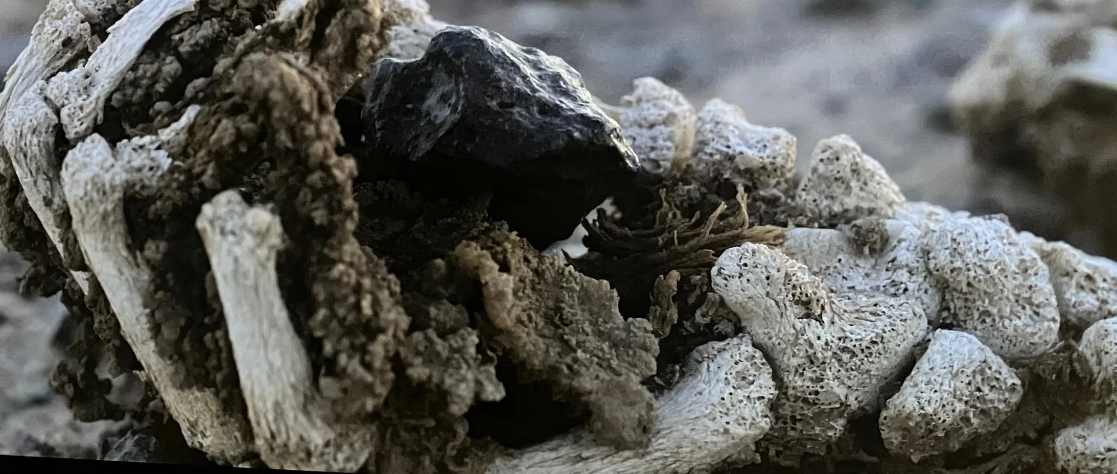 Pierre Huyghe