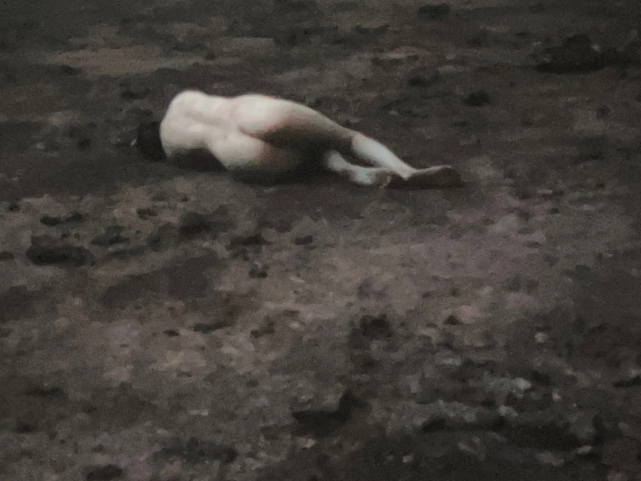 Pierre Huyghe