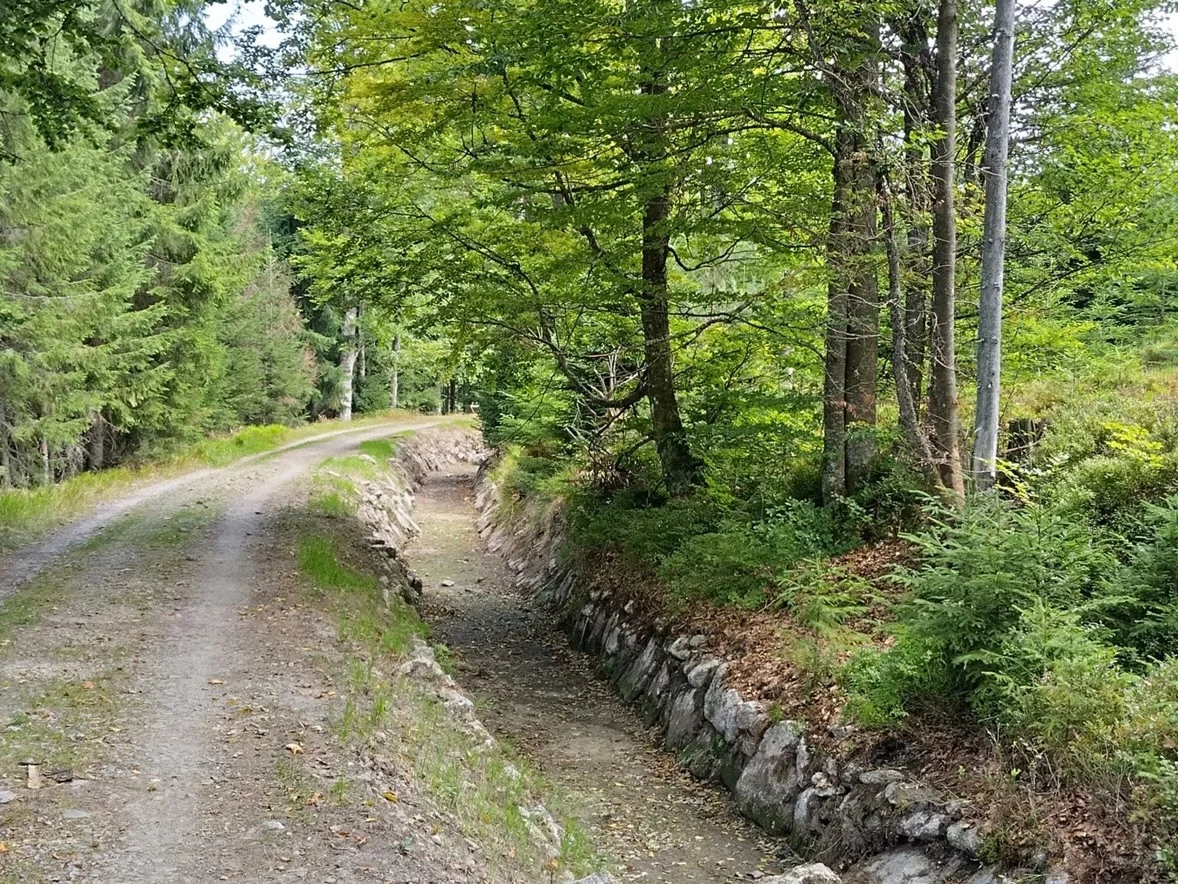 Schwarzenbergischer Schwemmkanal