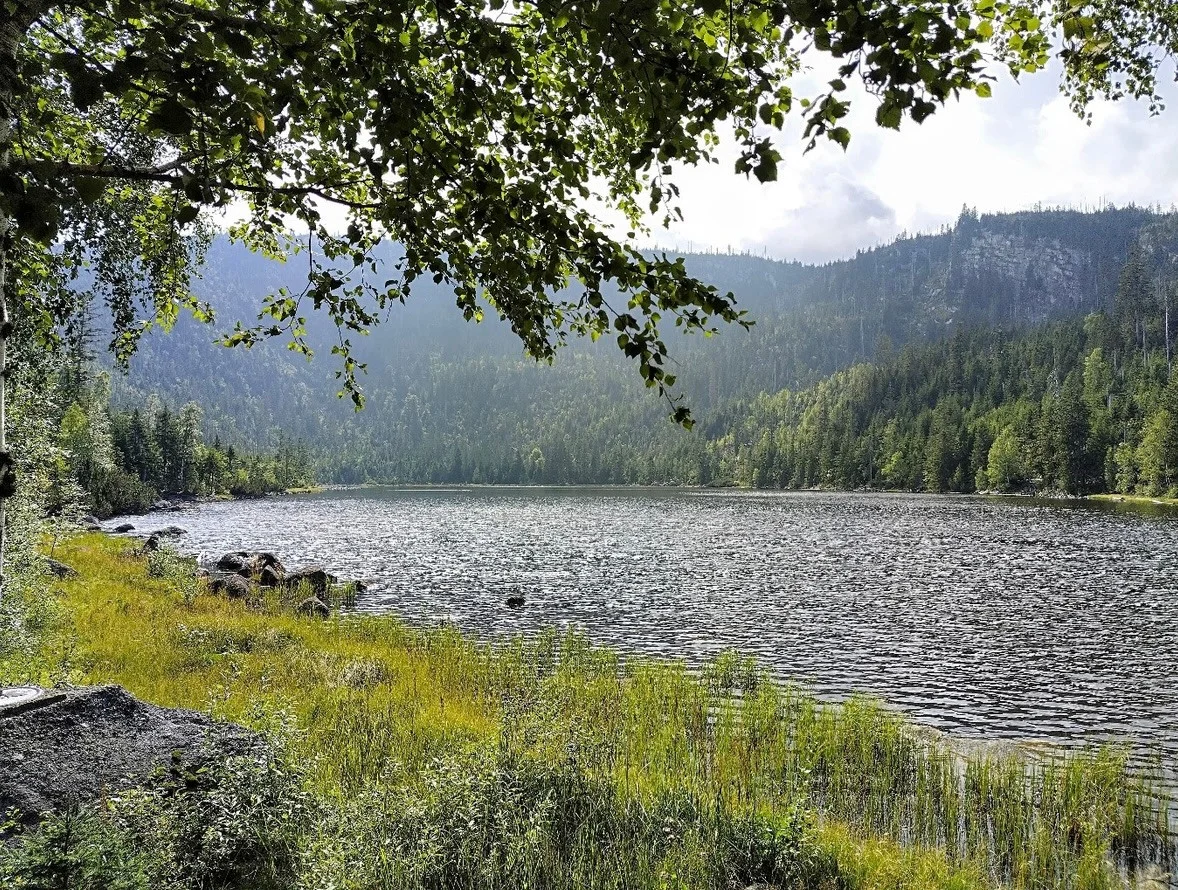 Plöckensteiner See 