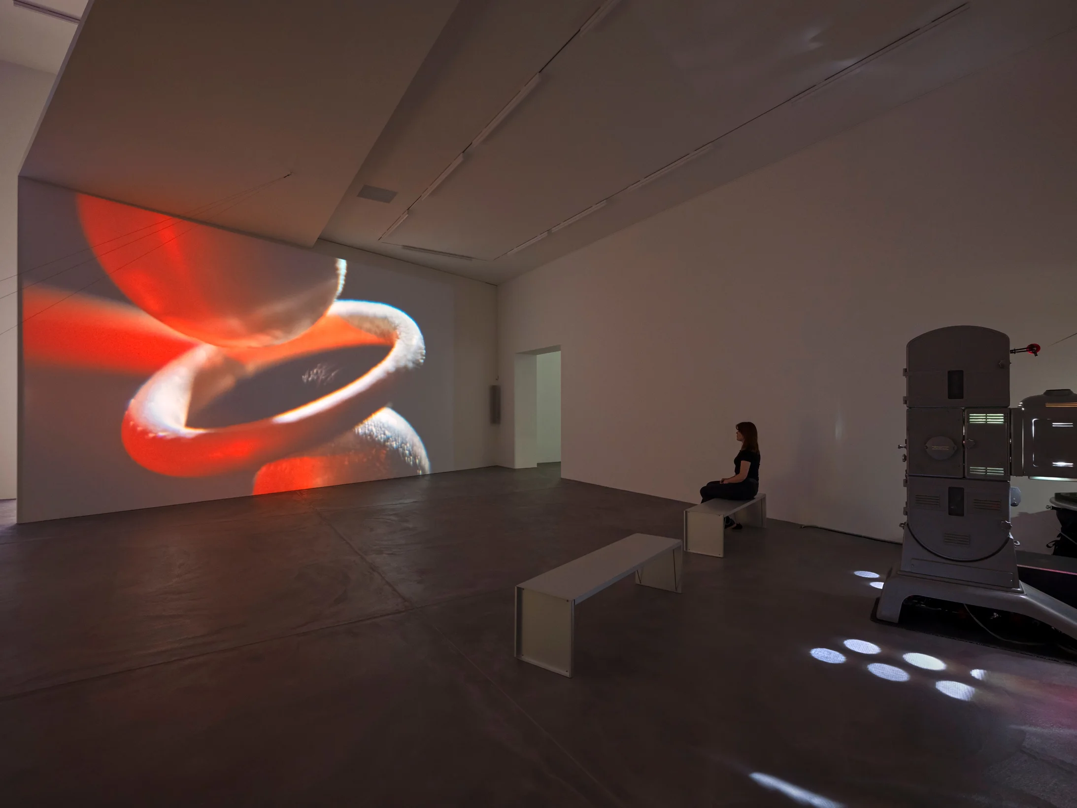 Rosa Barba, Charge