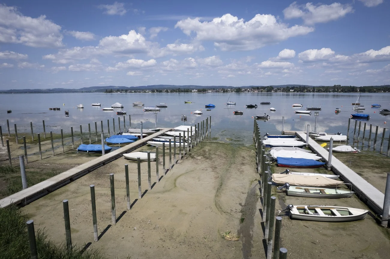 Bodensee, Schiffe