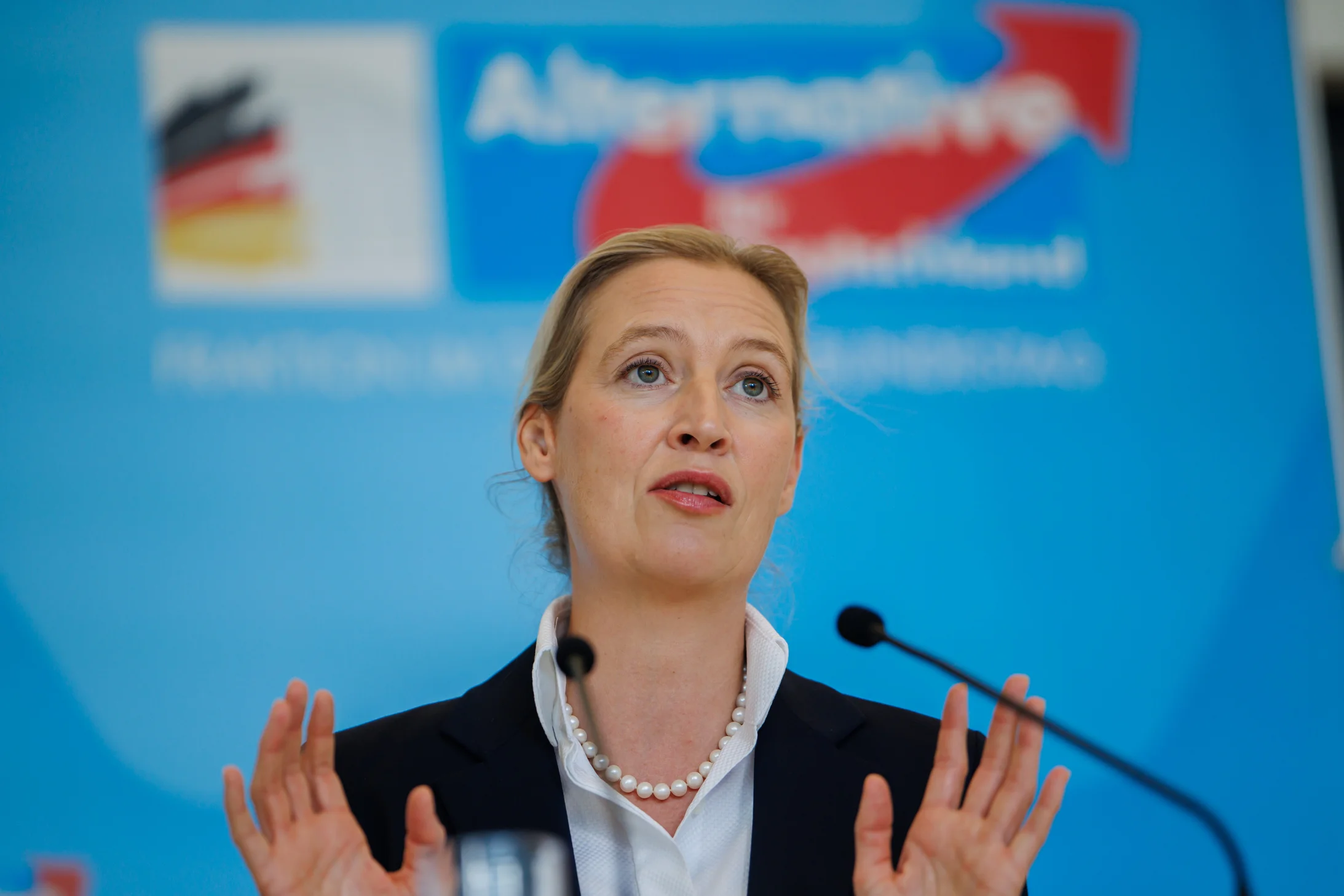 Alice Weidel