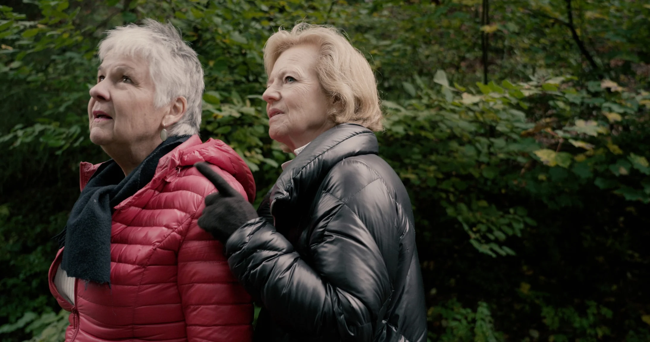 Dokumentarfilm Alzheimer