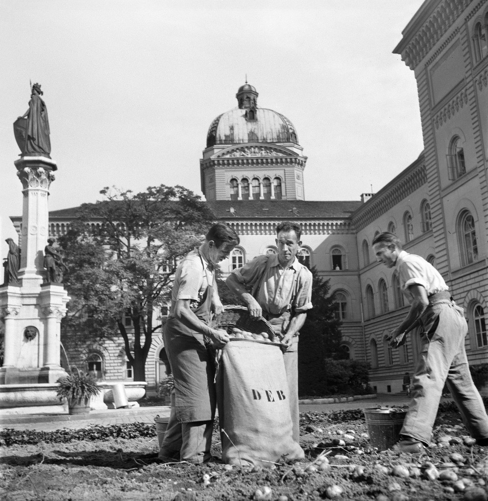 Kartoffelernte vor dem Berner Bundeshaus im Jahr 1944 (Foto: Keystone/Photopress-Archiv)