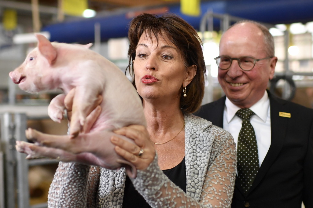 Schweine bringen Glück. Das sollen sie auch im neuen Jahr. Im Bild die Bundespräsidentin mit dem St. Galler Regierungspräsidenten Fredy Fässler an der Olma am 12. Oktober. (Foto: Keystone/Gian Ehrenzeller)