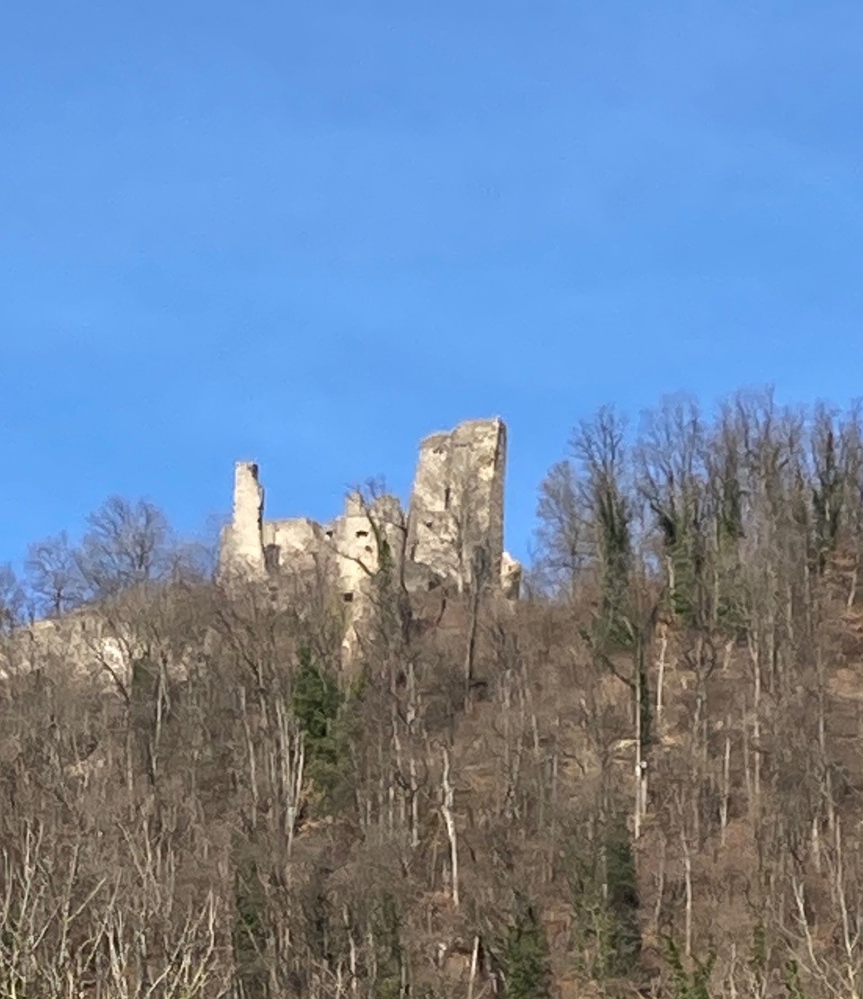 Burgruine Schenkenberg, von Thalheim aus gesehen