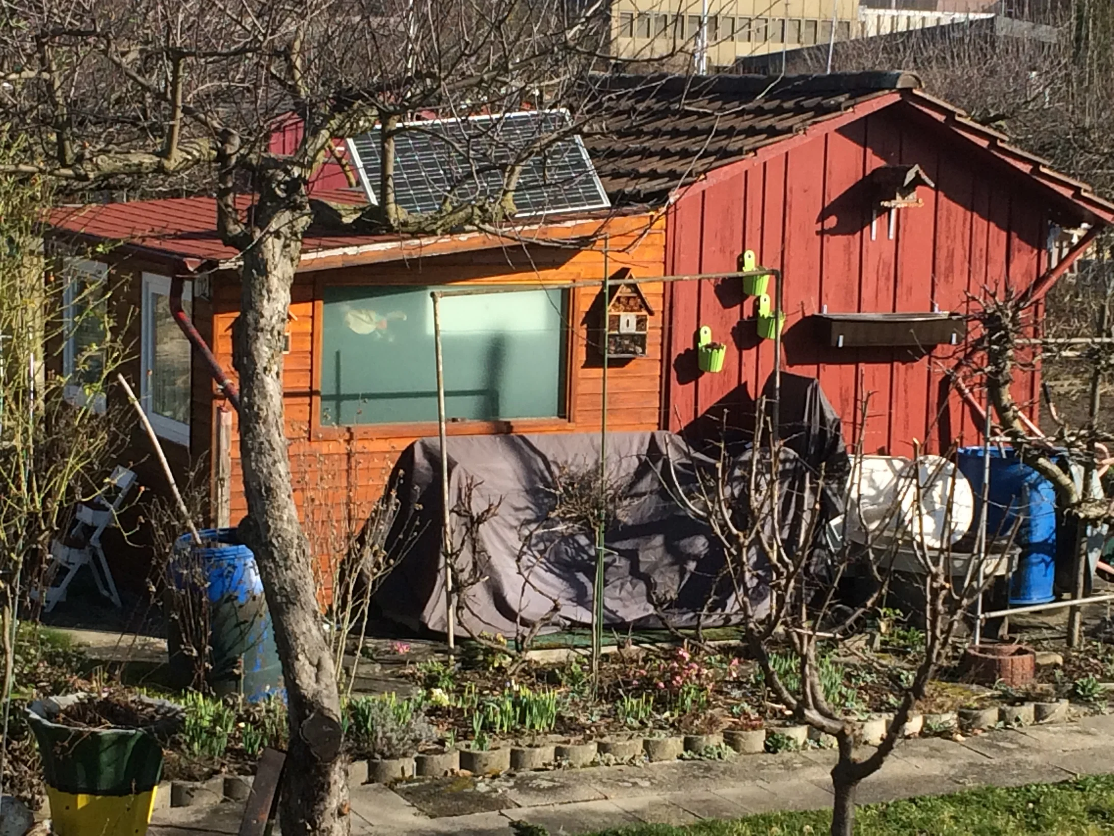 Auch eine Oase: Familiengärten Juchhof