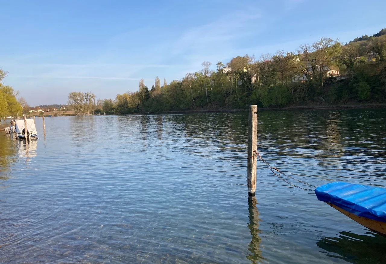 Am Rhein bei Büsingen, Blick stromaufwärts