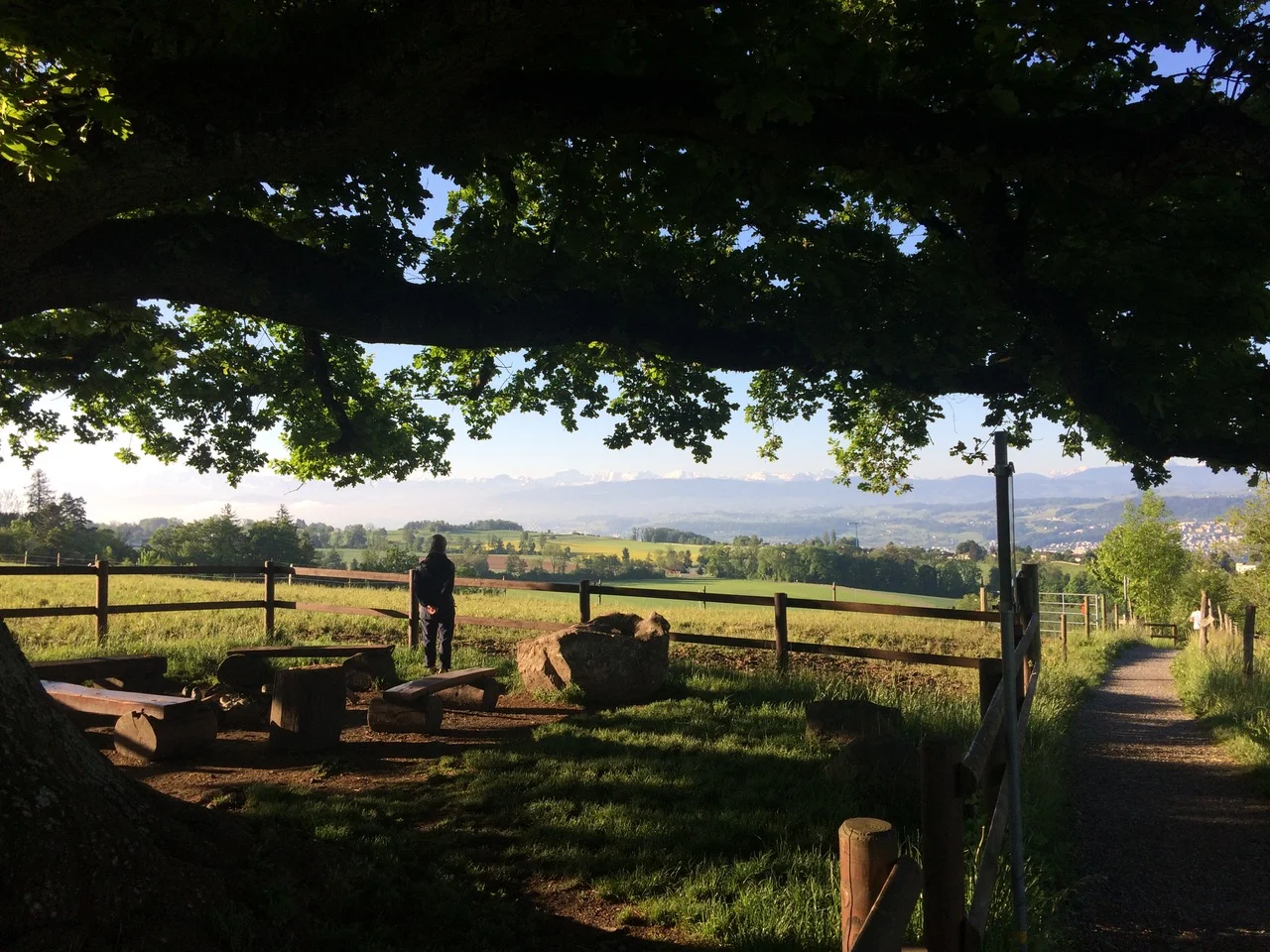 Blick über den Zürichsee in die Alpen (Fotos: Dieter Imboden)