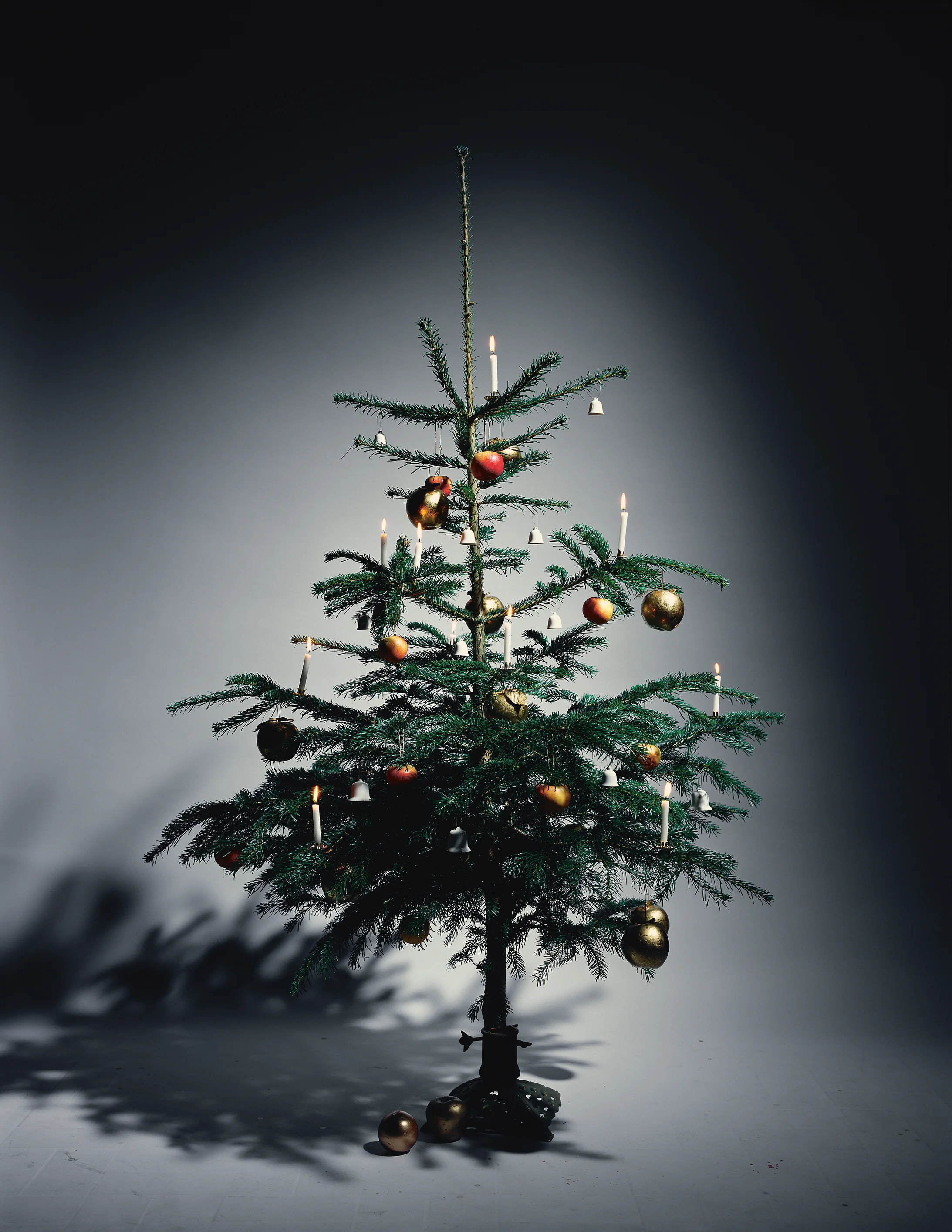 2010 (2016), aus der Serie: Weihnachtsbäume
© Andreas Mühe / VG Bild-Kunst, Bonn