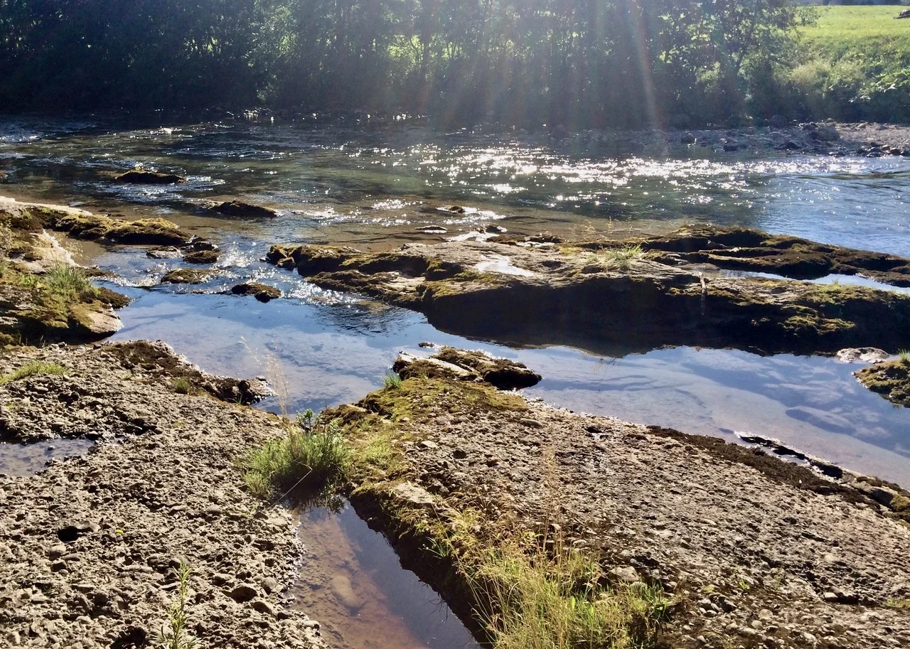 Wohltuende Kühle an einem heissen Tag: die Thur bei Neu St. Johann im Toggenburg, Kanton St. Gallen.