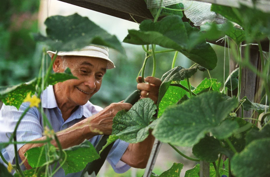 Foto: KEYSTONE/Gaetan Bally